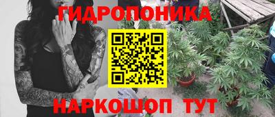 стаф Чебоксары