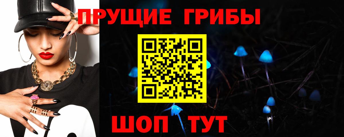 Галлюциногенные грибы Cubensis  Вход с VPN  Верхняя Пышма 